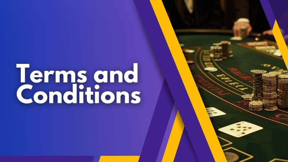 VIPPH Casino Terms and Conditions